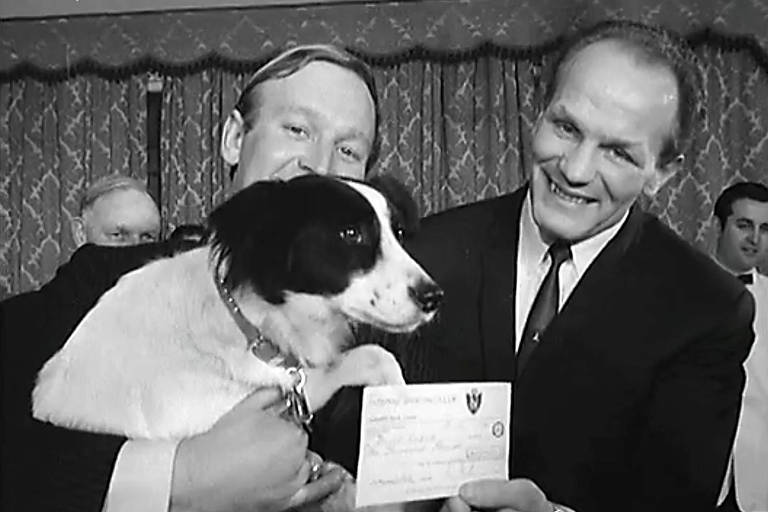 O Herói de Quatro Patas – Como um Cachorro Salvou a Copa de 1966